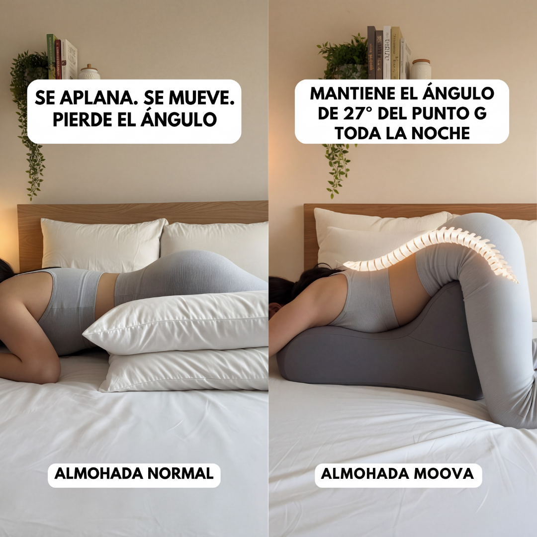 Cojín Ergonómico de Apoyo Íntimo